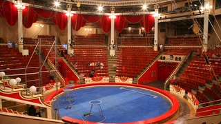 Zirkus | © Woche-Pass AG