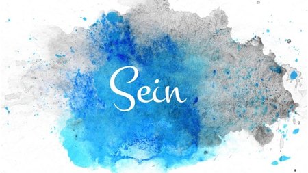 Dein SEIN Retreat-Akasha Chronik 