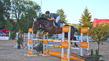 Pferdesporttage Sursee | © Reitverein Region Sursee