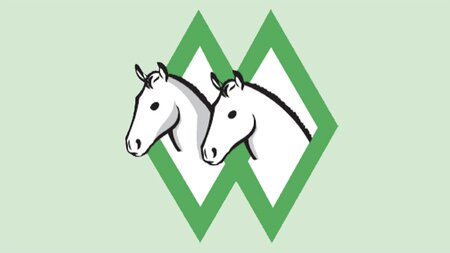 Freiberger Pferdeschau | © Freiberger-Pferdezucht Amt Sursee-Hochdorf