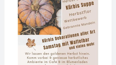 Herbst-Ausstellung bei Dorf Acht | © Dorf Acht