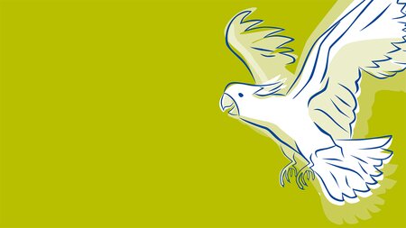 Vogel-Ausstellung | © Sing- und Ziervogelverein Sursee und Umgebung