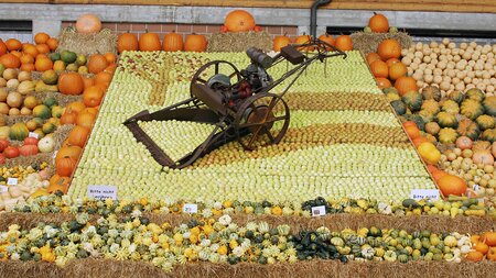 25. Kürbis-Fest | © Kürbishof Bürlimoos